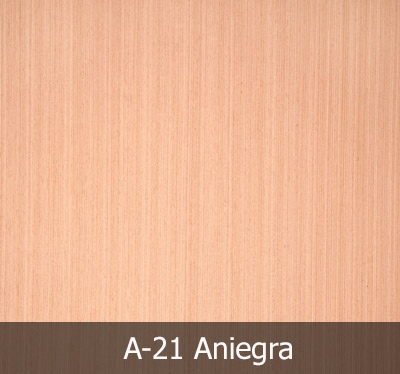 A21 Aniegra