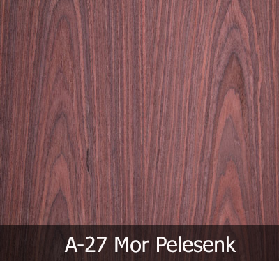A27 Mor Plesenk