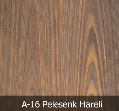 A16 Plesenk Hareli