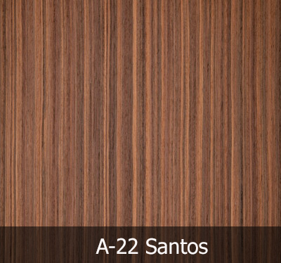 A22 Santos