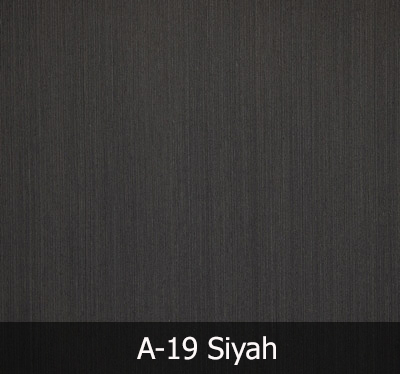 A19 Siyah